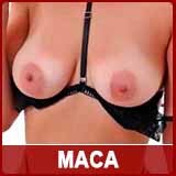 Escort Maca